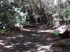 Parque Arqueológico La Zarza y Caldera de Agua